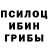 Псилоцибиновые грибы мухоморы Metin Bahtiyar